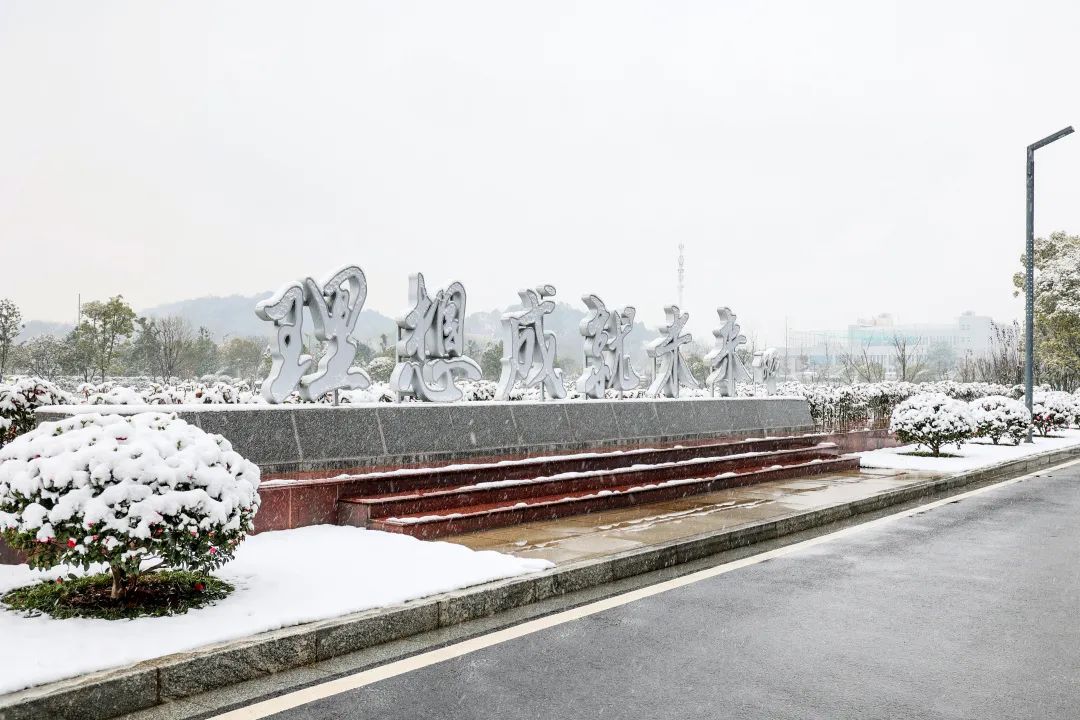 瑞雪兆有年，邀您共赏雪中尊龙凯时！